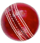 Everythingcric.com Logo Red Cricket Ball